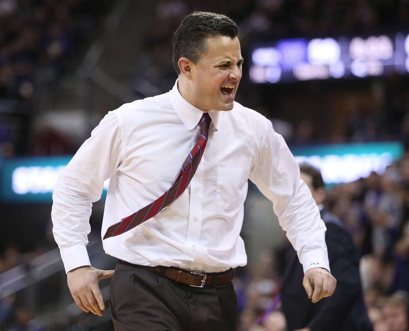 Arizona basketball coach Sean Miller